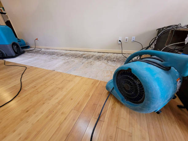 Professional Structural Drying technician working in Decatur, MI